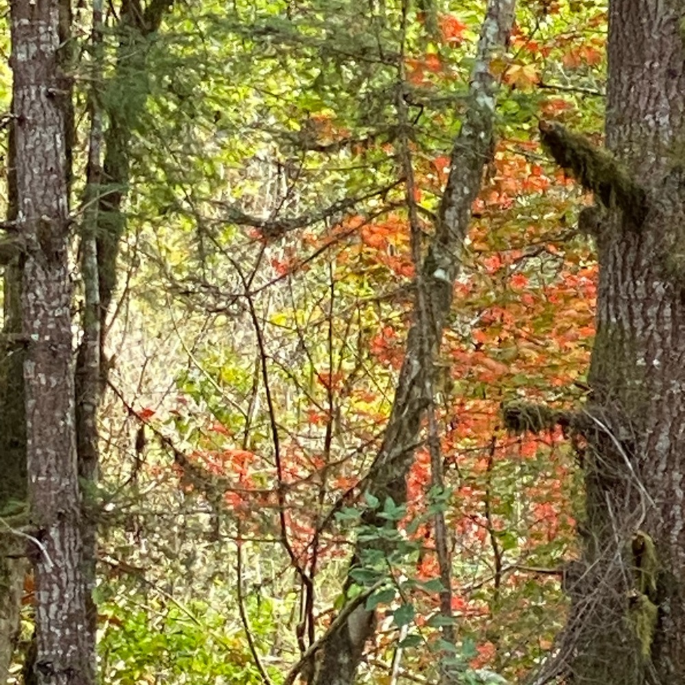 Intu Stones 
crystals with a crystal healer Unlisted Inventory - Picture 12 of 16